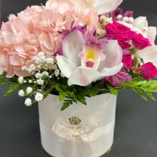 Blush Orchid & Hydrangea Flower Box – New York Flower Delivery