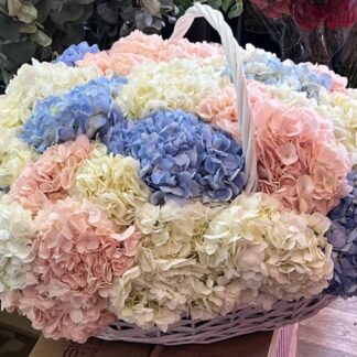 Pastel Hydrangea Luxury Basket – New York Flower Delivery