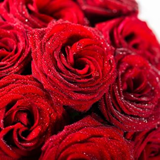 Luxury Rose Bouquets